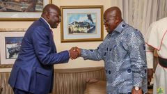 President Akufo-Addo and Vice President Dr. Mahamudu Bawumia