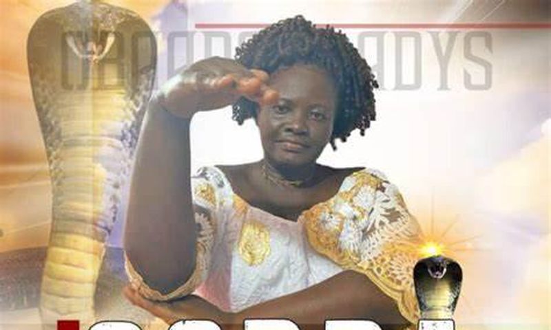 "Nnipa bi y3 Cobra" - The viral craze sweeping Social Media