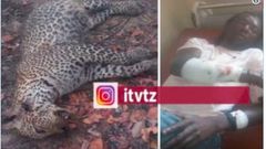 ___9083775___2018___11___8___11___Capture