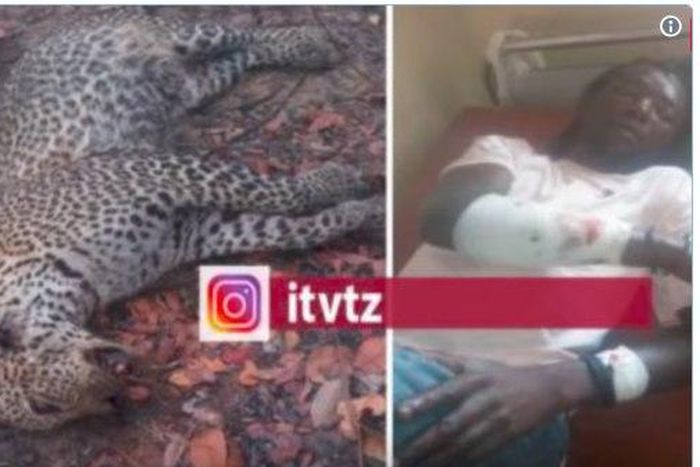 ___9083775___2018___11___8___11___Capture