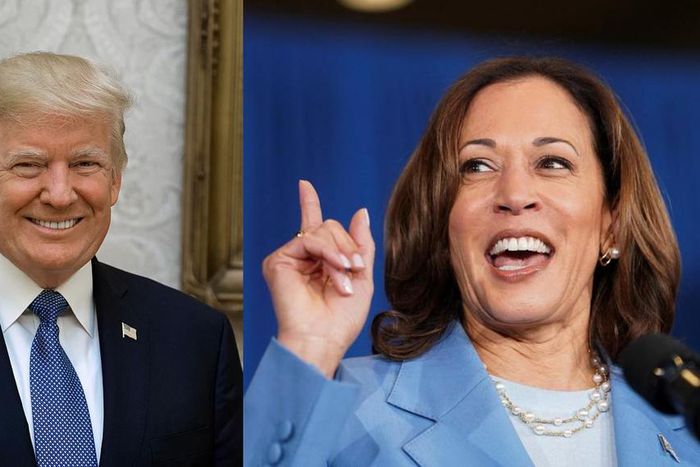 A twist in 2024 US election drama as Kamala Harris takes baton from Biden to face Trump