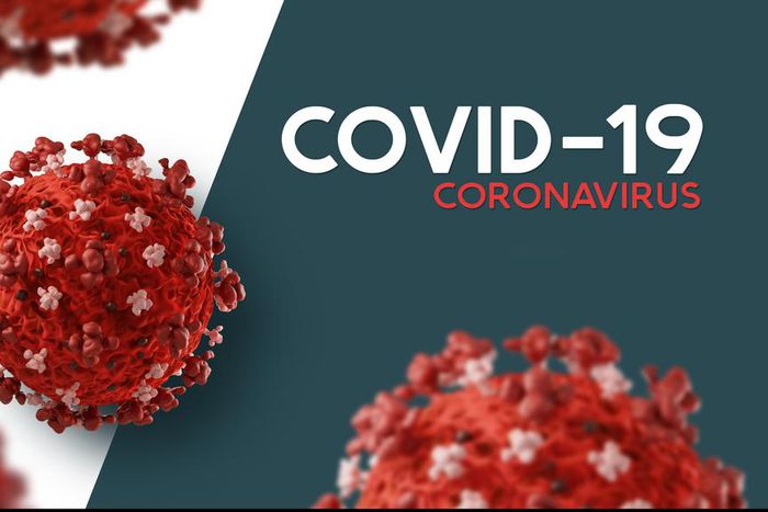 Coronavirus