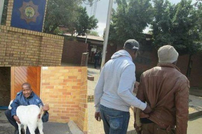 ___9058072___2018___11___1___17___Goat