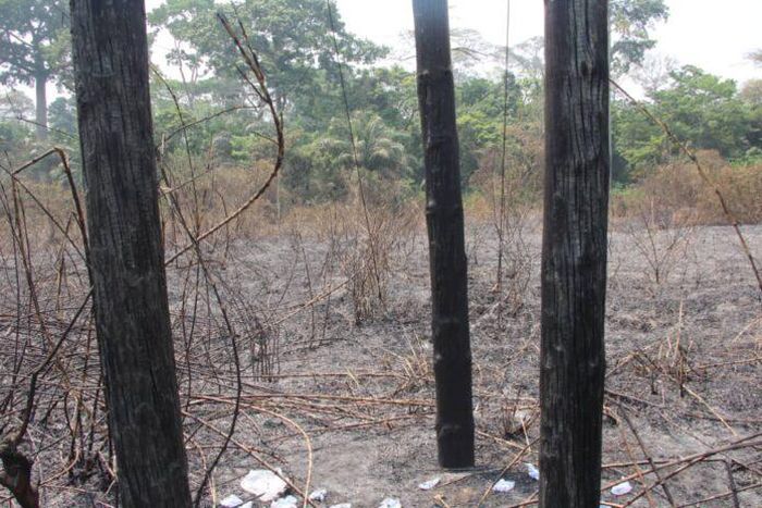 Bushfires burn ECG poles