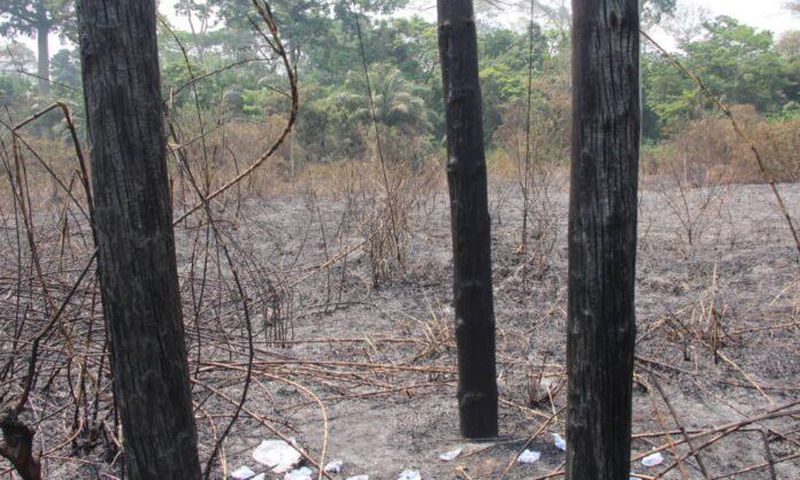 Bushfires burn ECG poles