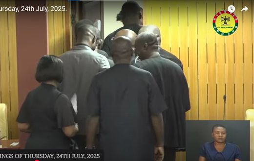 Minority stages walkout ahead of mid-year budget review presentation