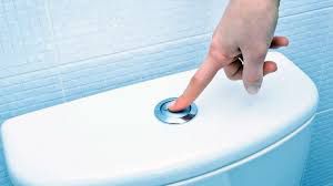 flushing-toilet