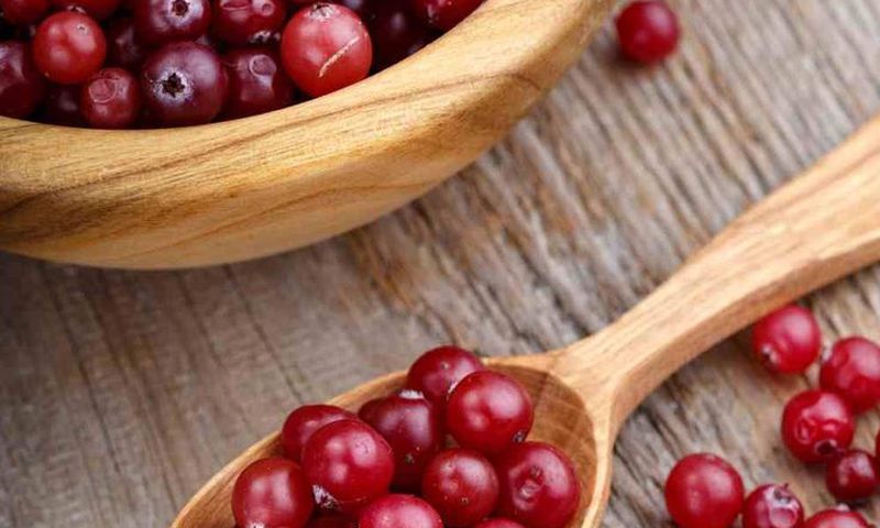 Cranberry