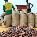 Ghana Cocoa