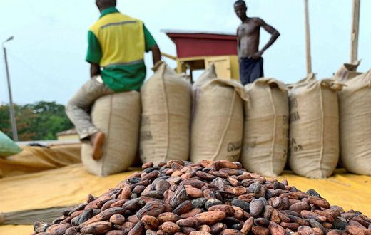 Ghana Cocoa