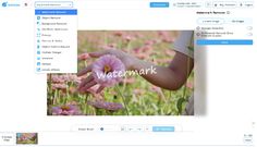 SoftOrbits: The ultimate balance of AI power and privacy