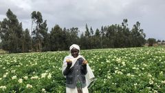 Potato farmer Askale has been able to increase her yield and support her family, with support from the Agriculture Growth Project. ©Vikas Choudhary/World Bank