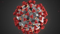 The Covid-19 virus.