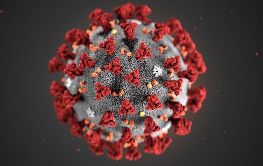The Covid-19 virus.