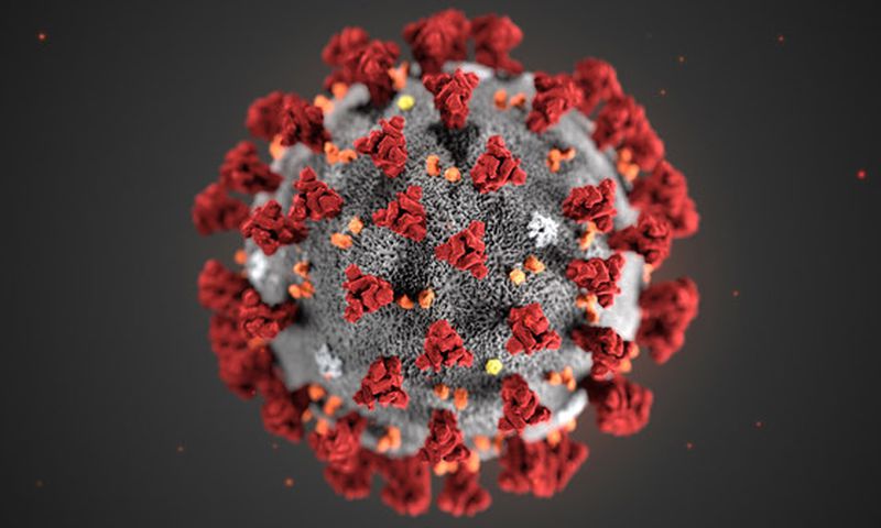 The Covid-19 virus.
