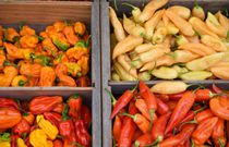 Here are 8 items you should never microwave