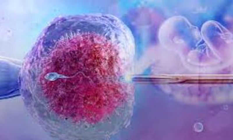 IVF
