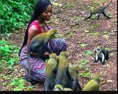 Ghana's regions and popular tourist attractions that make them unique