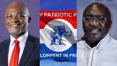 NPP flagbearer race