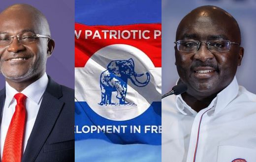 NPP flagbearer race