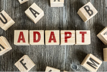 10 ways to build, maintain deep friendships in adulthood