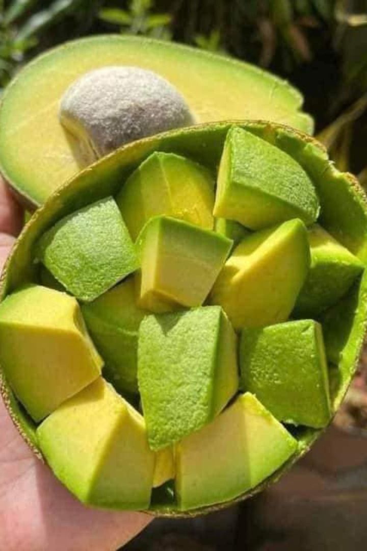 8 benefits of adding avocado to your breakfast