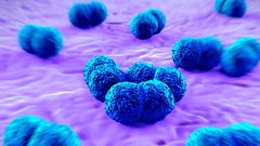 Ghana records 17 suspected cases of meningitis, 6 deaths in the Upper West region