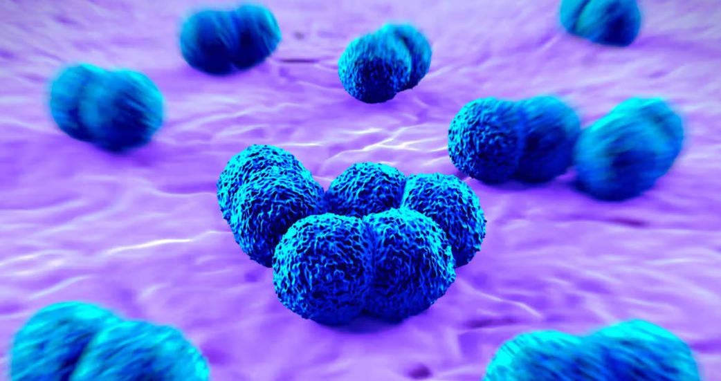 Ghana records 17 suspected cases of meningitis, 6 deaths in the Upper West region