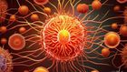 Meningitis