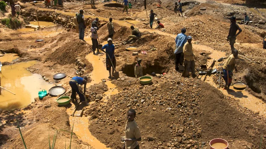 Lands Minister-designate discloses how NDC gov’t will fight galamsey crisis