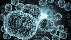 Ghana records 17 suspected cases of meningitis, 6 deaths in the Upper West region