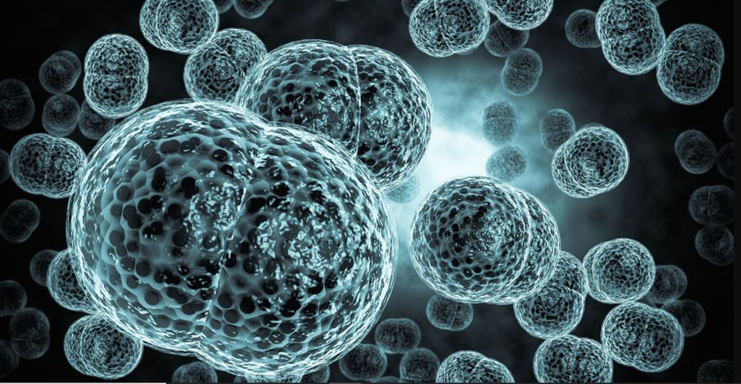 Ghana records 17 suspected cases of meningitis, 6 deaths in the Upper West region