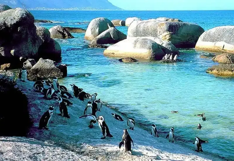 Top 10 African countries with the best and cleanest beaches - see where Ghana ranks