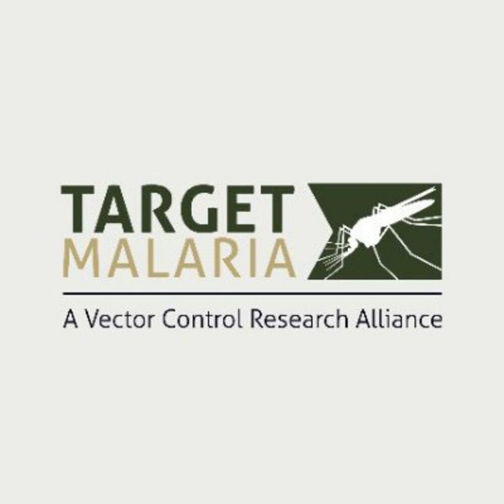 Target Malaria logo