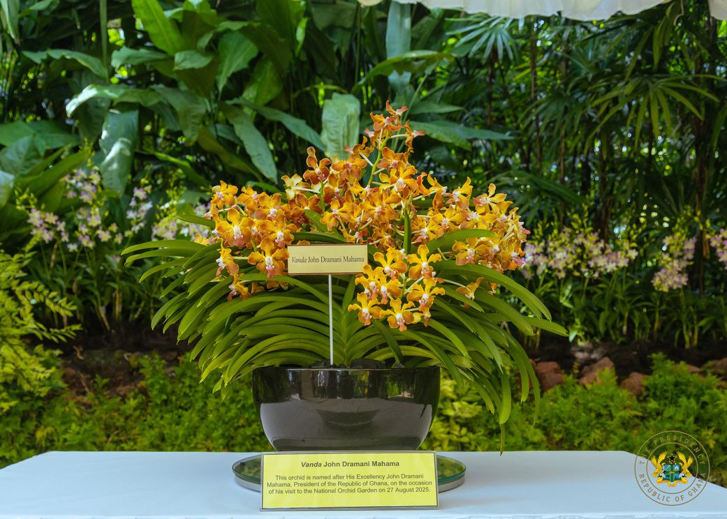President Mahama honoured with orchid hybrid in Singapore