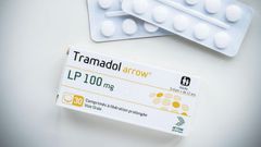 Tramadol comprimé