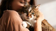 Purring is therapeutic for humans [GreatPetLiving]