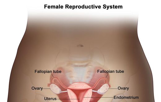 Why no woman should die from Cervical Cancer. [cancer]