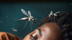 Why mosquitoes make buzzing noises in our heads