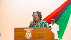 Professor Jane Naana Opoku-Agyemang