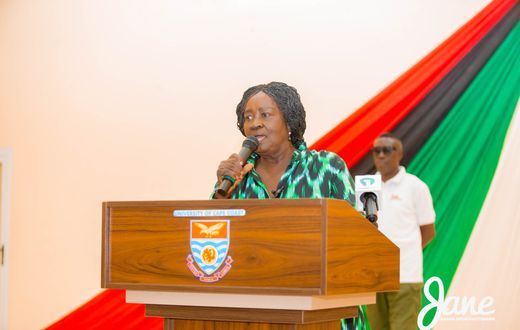 Professor Jane Naana Opoku-Agyemang