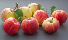 Apples are healthy [UnamiDays]