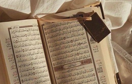 The Holy Quran (Noor)