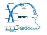 Genetic syndrome.VectorMine/iStock/Getty Images Plus