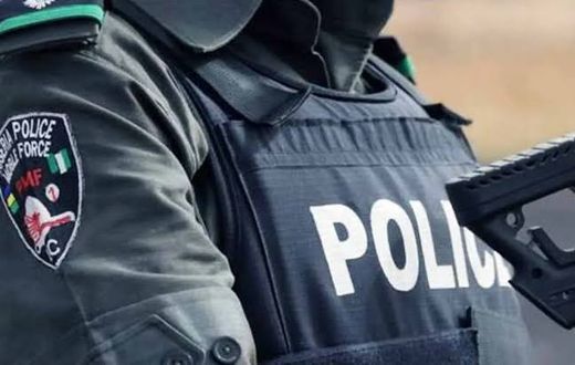 The man seeks compensation for his experience with the police [Punch]