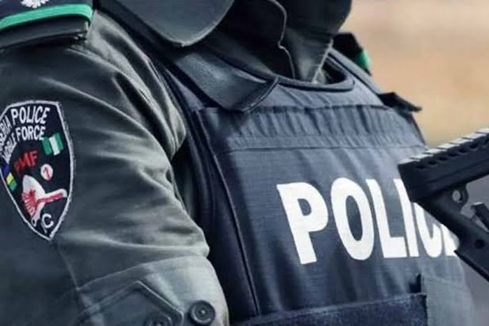 The man seeks compensation for his experience with the police [Punch]