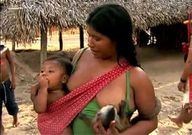 The Awa people view all living things as part of their extended family [Pinterest]