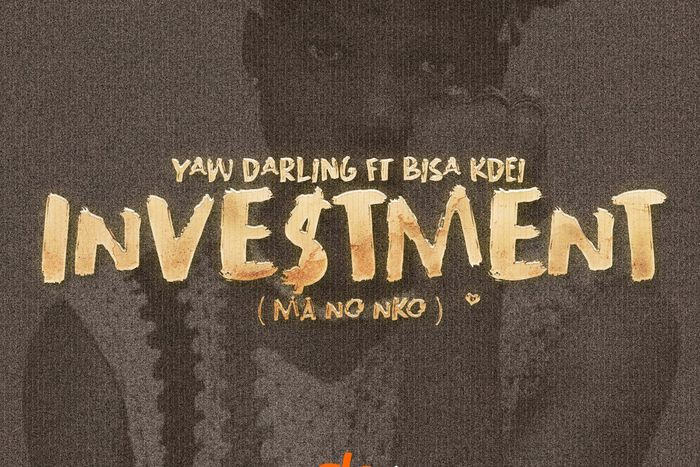 YawDarlingInvestmentCover