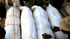 Madagascar's famadihana [BradtGuides]