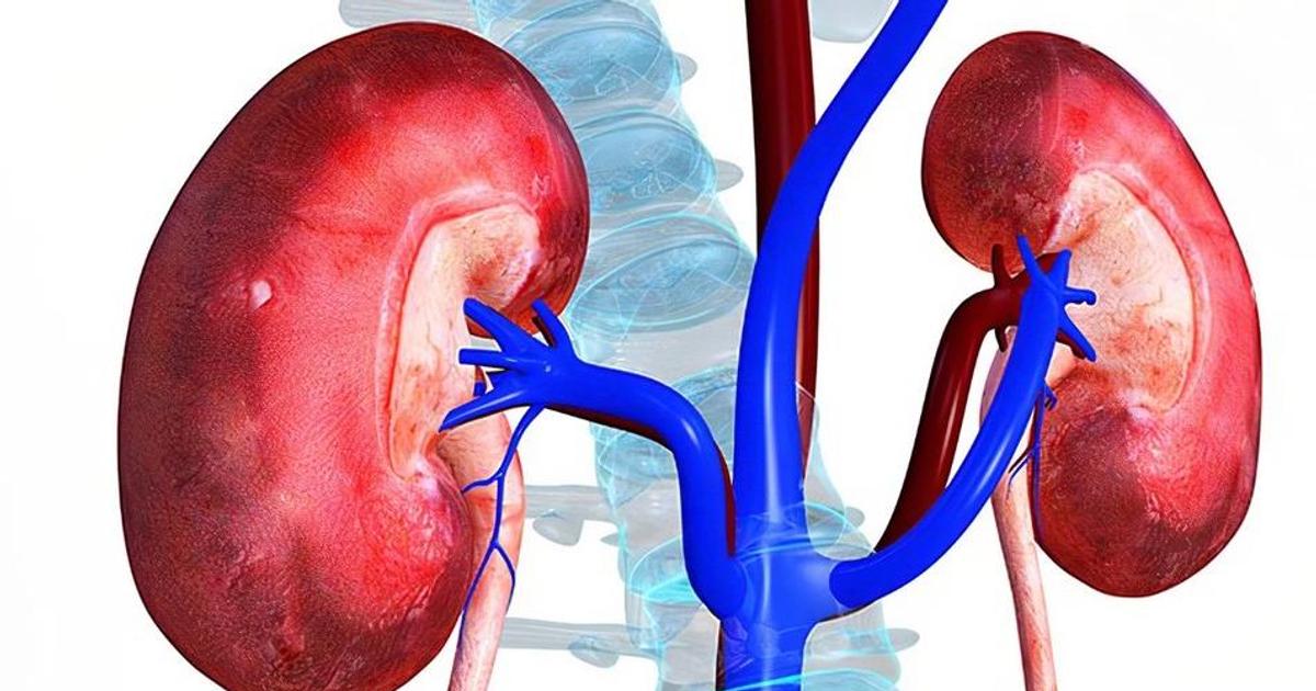 5 Stages of Chronic Kidney Disease: How Function Declines | Pulse Ghana